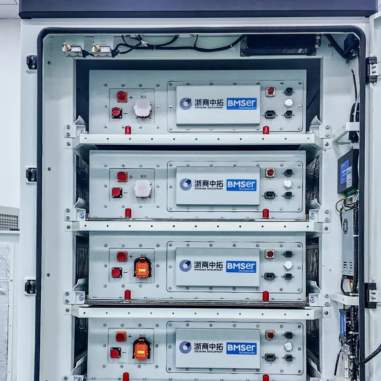 Which battery has a BMS system