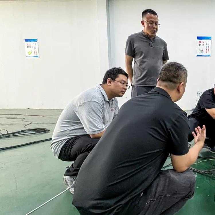 Rechargeable lithium battery pack 25 9v